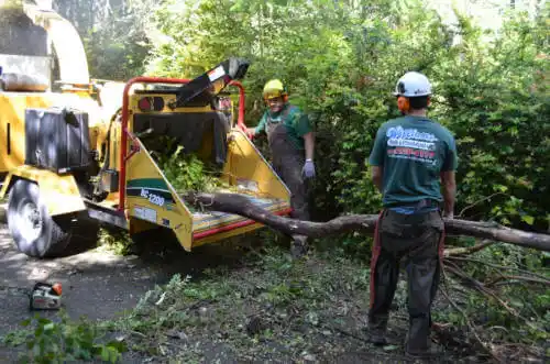 tree services Asbury Lake